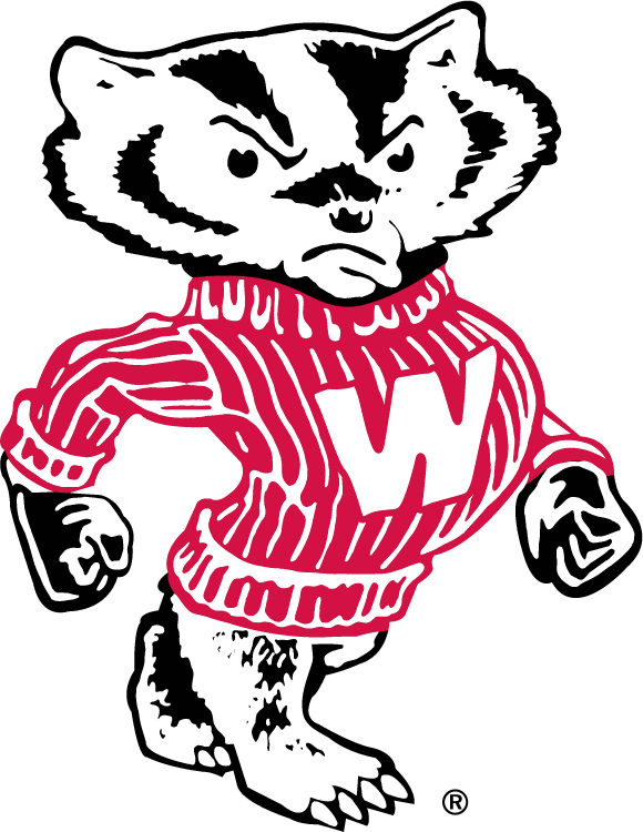 Wisconsin Badgers 1970-2003 Secondary Logo DIY iron on transfer (heat transfer)
